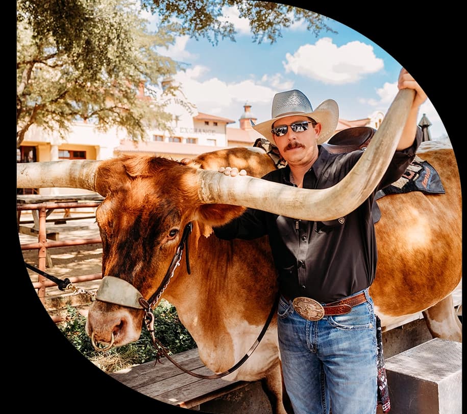 about-us-longhorn-stat blade motif image 915X810